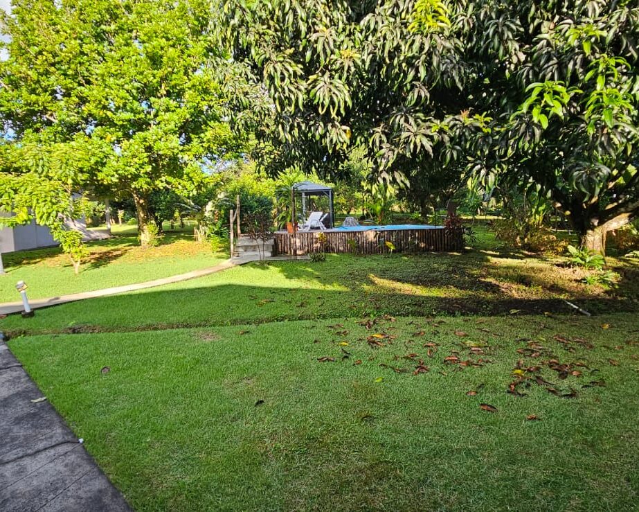 Looking toward the pool with the casita on the left and the chicken run on the right