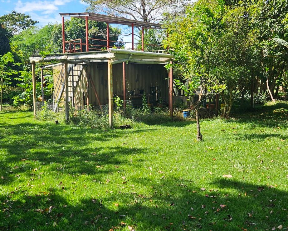 The greenhouse and it's patio, viewed from the lower well